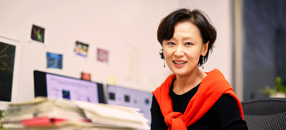 Yukiko Goda Synaptic Plasticity And Connectivity Riken Center For Brain Science Riken Cbs